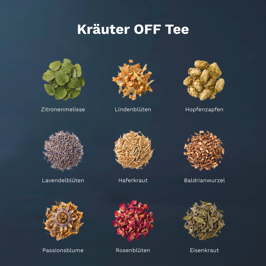 Neun Zutaten des OFF Relax Tea: Zitronenmelisse, Lindenblüten, Hopfen, Lavendel, Baldrian und weitere Kräuter.