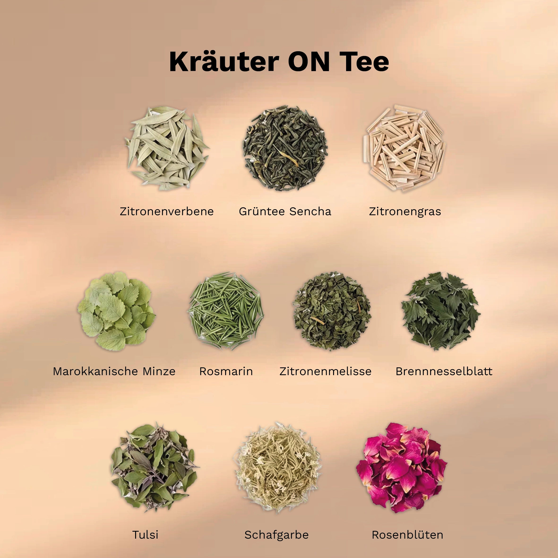 Zehn Zutaten des ON Power Tea: Sencha, Zitronenverbene, Zitronengras, Minze, Rosmarin und weitere Kräuter.