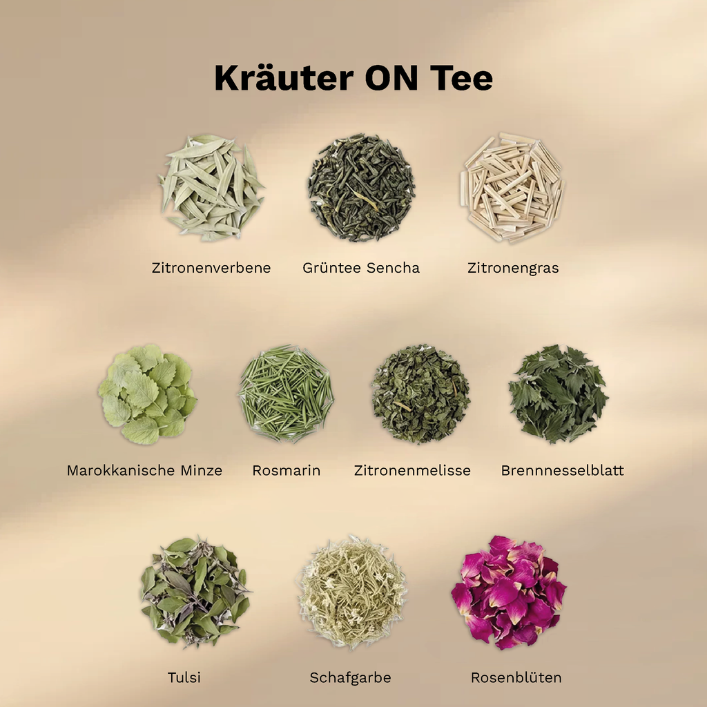 Zehn Zutaten des ON Power Tea mit Sencha Grüntee, Zitronenverbene, Minze, Rosmarin und Rosenblüten.